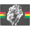 Horizontal Banner -  Lion of Judah Surface Pro 8 Skin